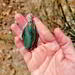 Gary Green Jasper pendant wrapped in sterling silver, held in hand to show size and design, featuring green and tan hues.
